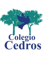 Cliente Cumulo - Colegio Cedros | Hosting y TI en Villahermosa Tabasco